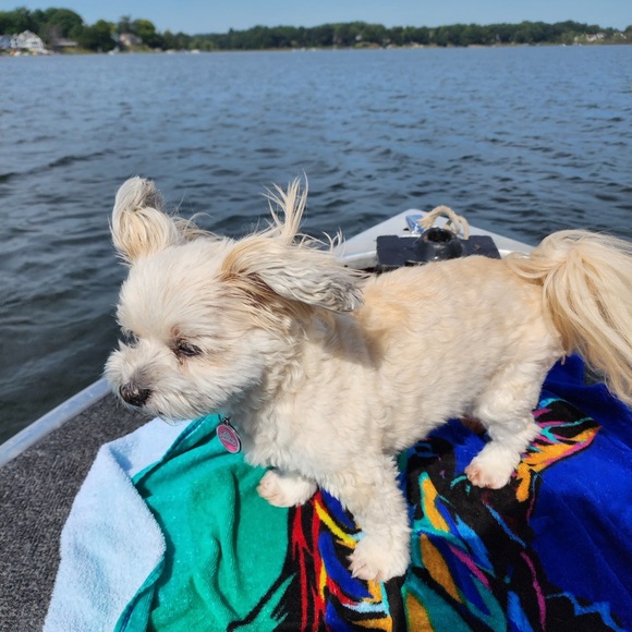 Meet your Posher, Jaynee - Picture 8 of 8